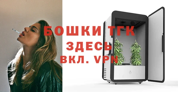 индика Михайловка