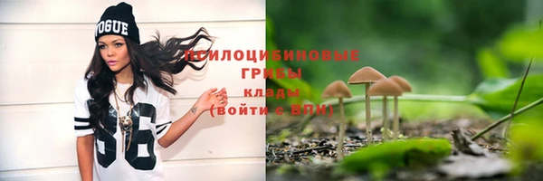 круглые Аркадак