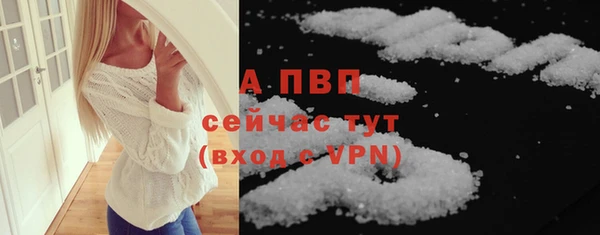 гидра Арсеньев