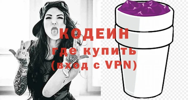 гидра Арсеньев