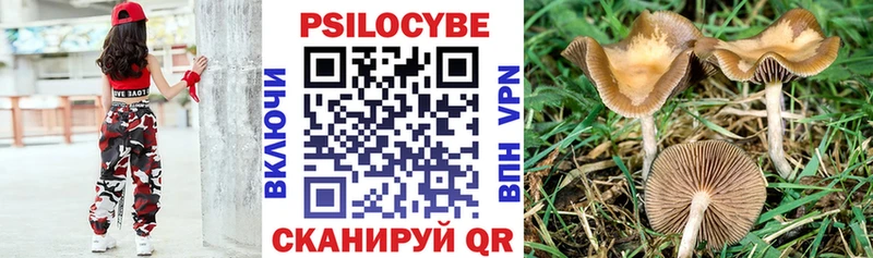 продажа наркотиков  Алдан  Псилоцибиновые грибы мухоморы 